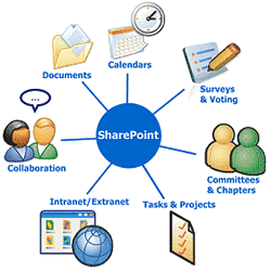 SharePoint to Improve Productivity